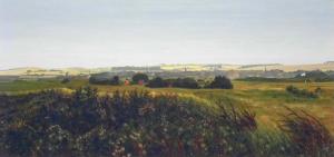 RODGER INSH EXHIBITION Of LANDSCAPE PAINTINGS